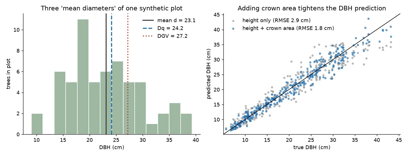 Left: histogram of DBH in a synthetic plot with the arithmetic mean, quadratic mean and basal-area-weighted mean marked; DGV is the largest. Right: predicted versus true DBH for a height-only model and a height plus crown area model; the second scatter is tighter around the 1:1 line.