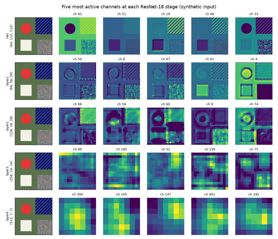 A synthetic test image with a red disc, blue stripes, a white square and a noise patch, followed by the five most active channels at each of five ResNet-18 stages. Early maps are sharp and show edges, flat colour regions and stripes; later maps are coarse blobs.