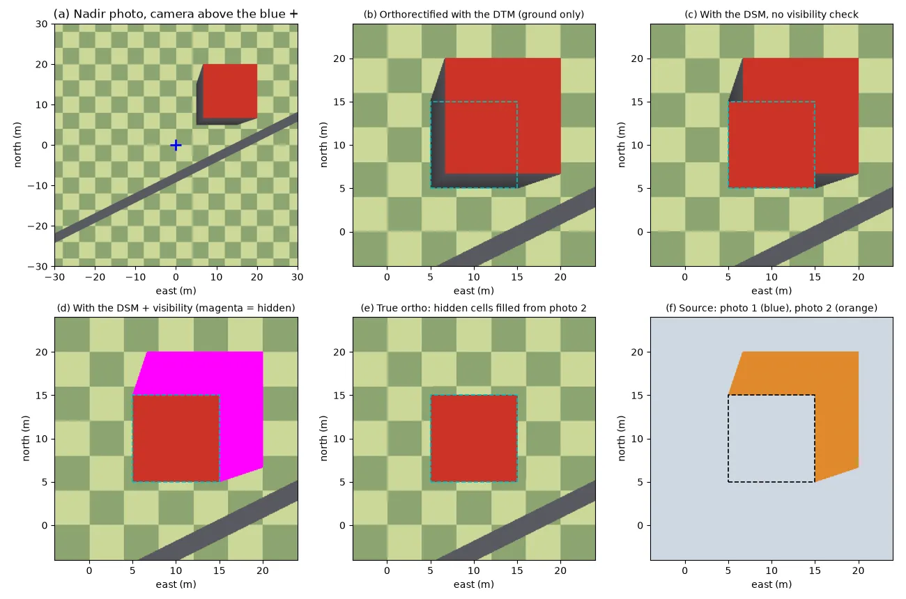 Six panels of a synthetic scene. (a) A nadir photo of a checkerboard ground with a road and a red-roofed box building that leans away from the camera position, showing two grey walls. (b) Orthophoto made with the terrain model: the ground is correct, but the roof is shifted and enlarged beyond the true footprint (dashed outline) and the walls show. (c) Orthophoto made with the surface model: the roof sits on its footprint, but a ghost copy of the roof and walls remains on the ground behind it. (d) The same with a visibility check: the hidden ground is marked in magenta. (e) The true orthophoto, with the hidden area filled from a second photo: just the roof on its footprint, surrounded by correct ground. (f) A map showing that the L-shaped hidden area came from photo 2 and everything else from photo 1.