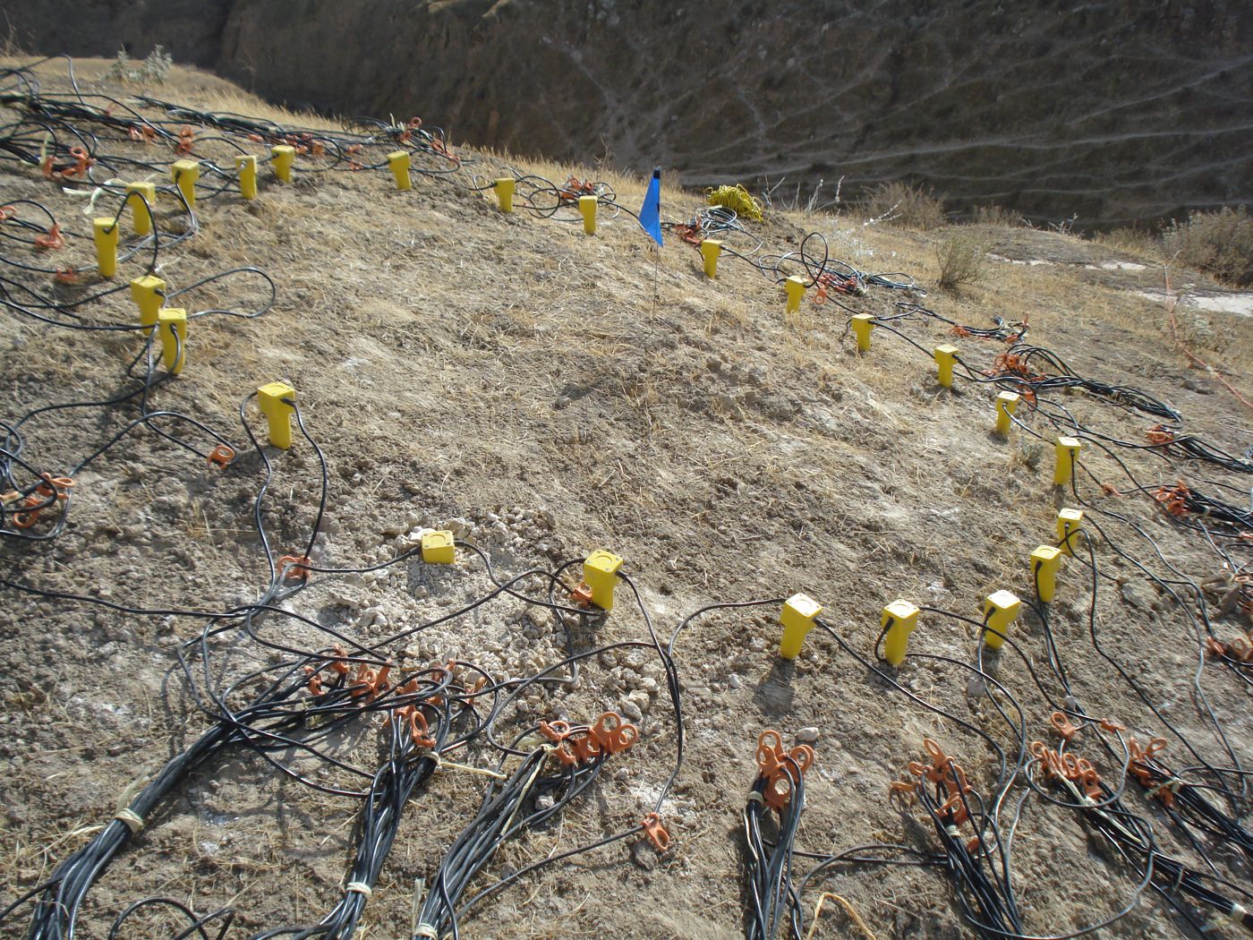 A geophone array laid out on the ground