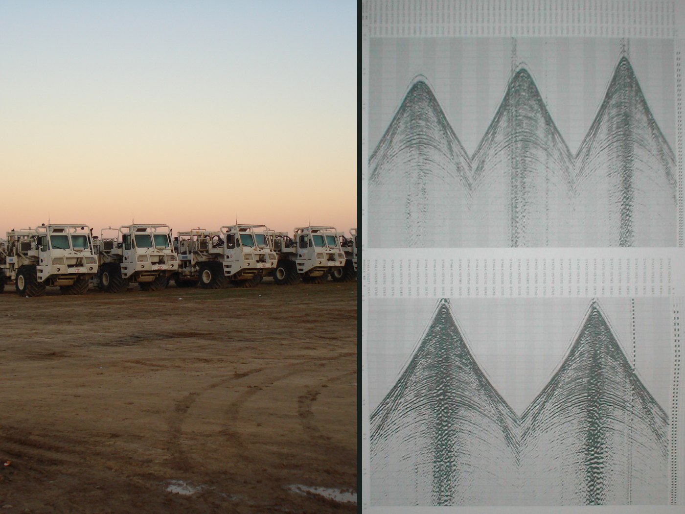 Left: the vibroseis fleet at sunset. Right: printed shot records, turned so time runs down, each peak at a shot